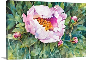 The Pleasure Of Peonies