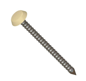 Cream Polytop Stainless Steel Fixing Pins - Length 30mm x Box of 250