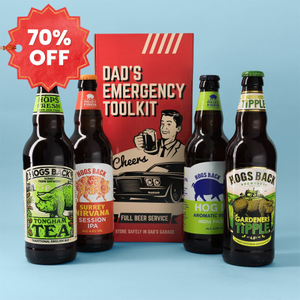 Dad's Emergency Toolkit 4x500ml
