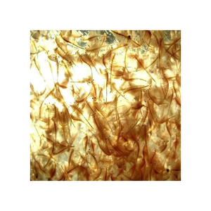 Aquadip Live Brine Shrimp Pouch