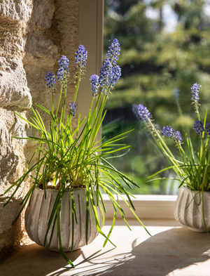 Osmington Pot 18cm - Stoneware, White