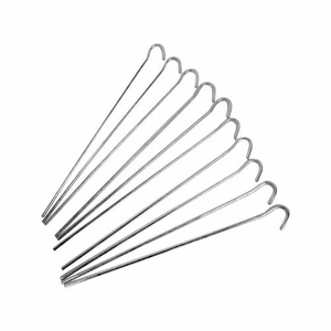 Tent Pegs 10 Pack