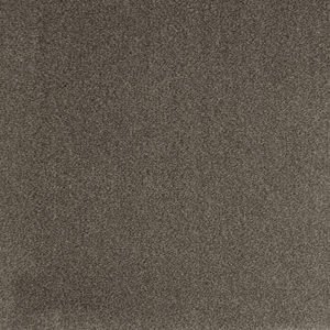 Everest Soft Twist Carpet