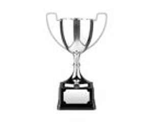 Swatkins Silver Endurance Cup on Black Plinth