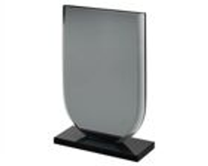 Smoked U-Shaped Glass Award