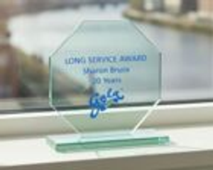 Printed Octagonal Jade Glass Award