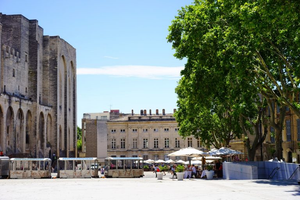 Provence in Detail
