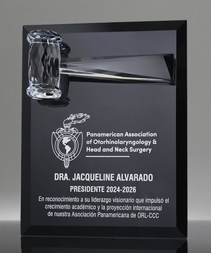 Crystal Gavel Plaque Award