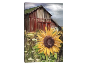 Sunflower Field