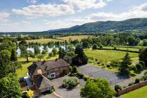 The Vineyard Lake House