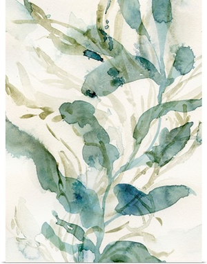 Underwater Botany III