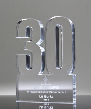 30 Year Anniversary Award