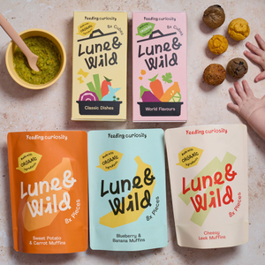 Finger Food & Puree Bundle Baby Led Weaning 9 Months+