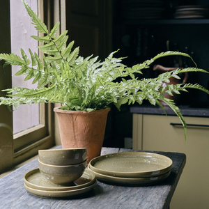 Artificial Fern in Terracotta Pot