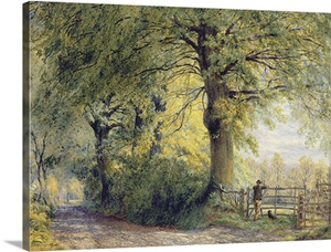 Under the Beeches