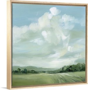 Summer Clouds
