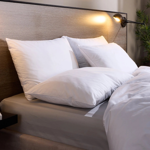 Luxurious Cotton Pillows