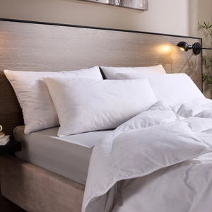 Signature Goose Feather and Down Pillow