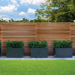 25.4x50.8mm Skyline Fence Slat/Batten Western Red Cedar PSE (18x44mm Finished)