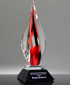Ecstasy Reflections Award
