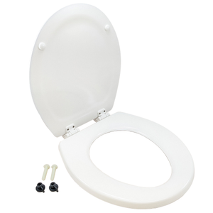 White Toilet Seat & Lid