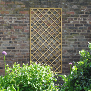 Hidcote Lattice - 180 x 90cm - Pack of 5 FSC® certified