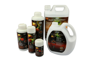 Ista Premium Black Water Extract