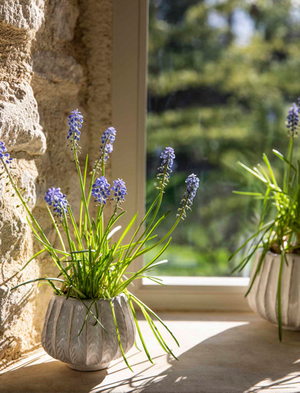 Osmington Pot 14cm - Stoneware, White