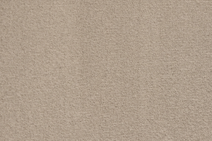 Avalon - Cream - Action Backed - Carpet Sample
