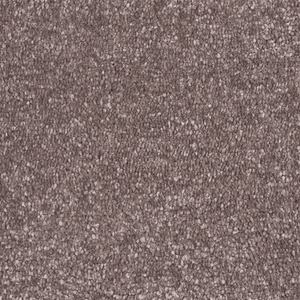 Salem - Beige - Fitter-Friendly - Carpet Sample