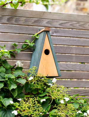 Littleworth Bird House Pitched Roof - Pine Wood, Olive