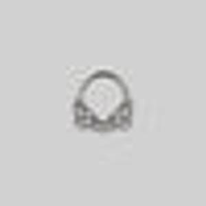 MAIDEN. Lace Septum Clicker Ring - Silver - Silver / 8mm / 16ga (1.2mm)