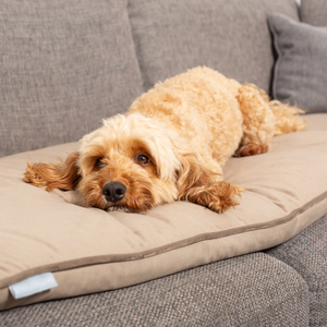 Sofa Topper in Clay Velvet by Lords & Labradors