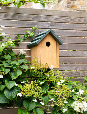 Littleworth Bird House - Pine Wood, Olive