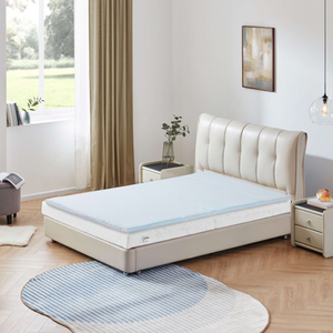 5 Zone Memory Foam Foam Mattress Topper with Cover