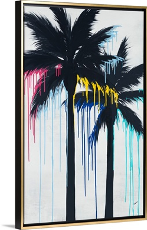 Palm Perfection