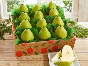 16 ct D'Anjou Pears
