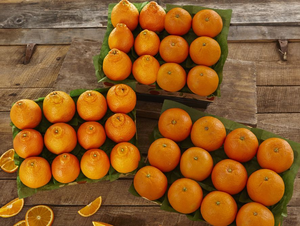 3 Trays - Golden Honeybells and Navel Oranges