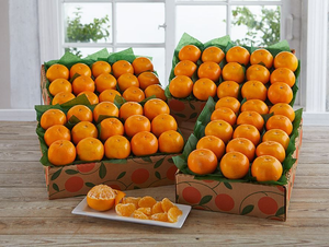 4 Trays of Holiday Golds