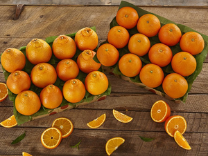 2 Trays - Golden Honeybells and Navel Oranges