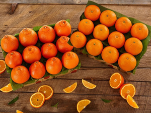Honeybells and Navels - BOGO
