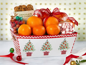 Holiday Grove Basket Box