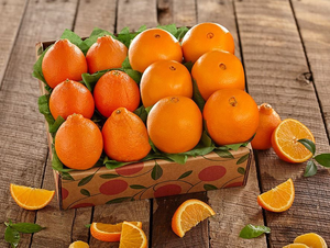 1 tray Navels and Honeybells