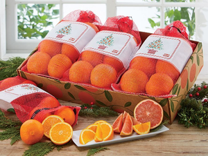 Happy Holiday Gift Packs - Grapefruit & Navel Combo