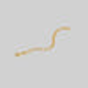 The Extender Chain - 18K Gold Plated Brass - Gold / Brass