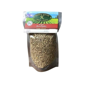Large Lentils Raw 500g - Fakes