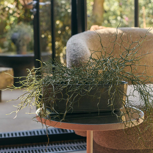 Artificial Grass Bush