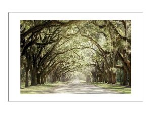 Low Country Drive