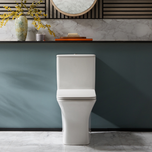 Milano Avenham - Modern Close Coupled Toilet with Soft Close Seat and Chrome Flush Button