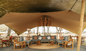 Wayo Little Green Camp